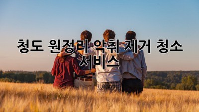 청도 원정리 악취 제거 청소 서비스